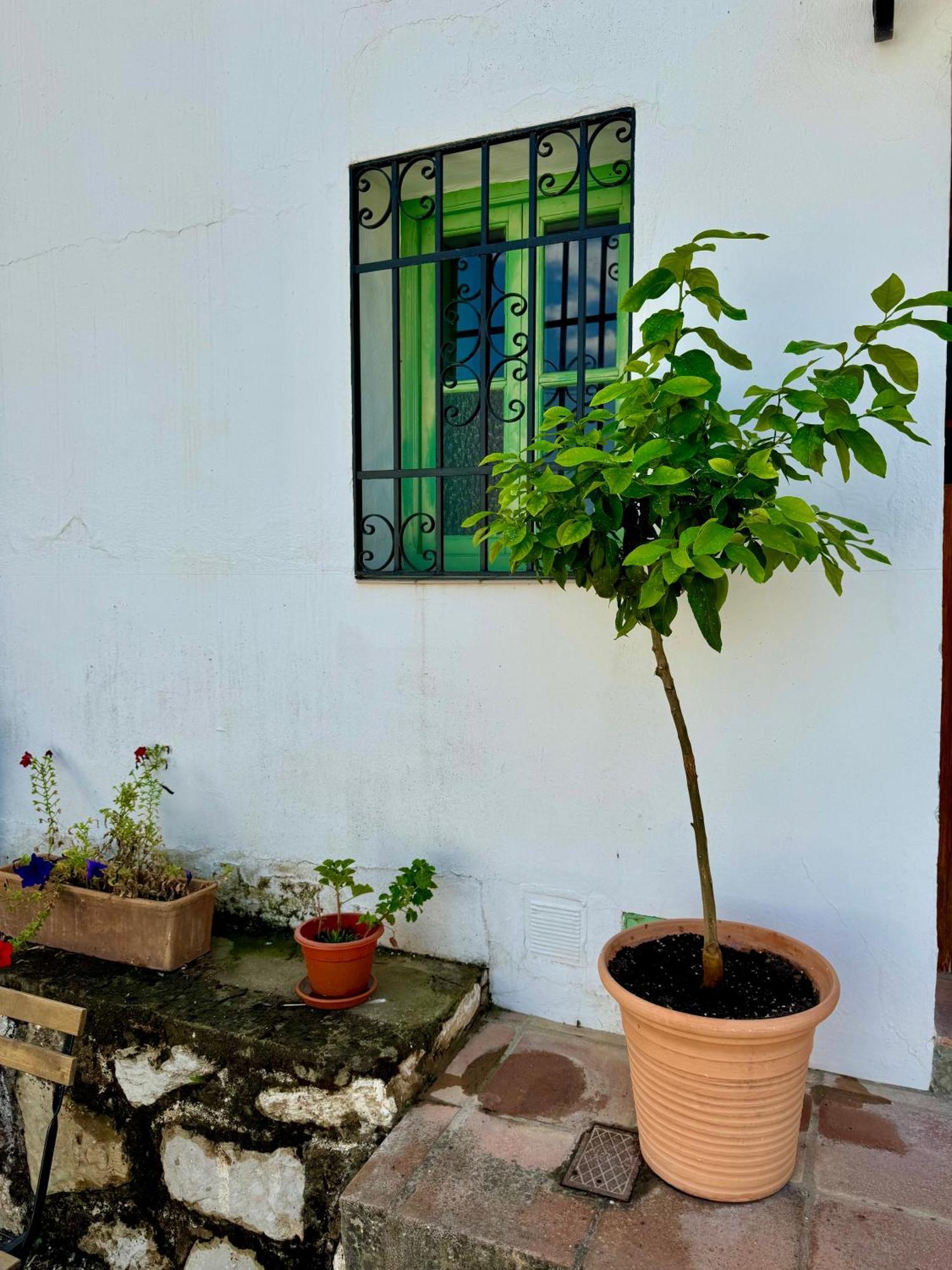 몬테하케 Casa Leon 빌라 외부 사진